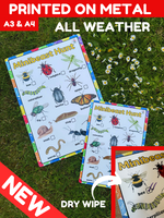 
              NEW!! Outdoor - Minibeast Hunt- Activity Board
            