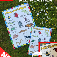 NEW!! Outdoor - Minibeast Hunt- Activity Board