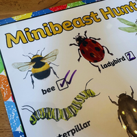 NEW!! Outdoor - Minibeast Hunt- Activity Board