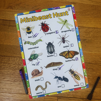 NEW!! Outdoor - Minibeast Hunt- Activity Board