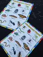 
              NEW!! Outdoor - Minibeast Hunt- Activity Board
            