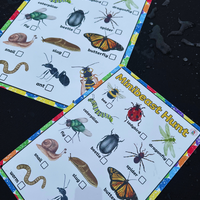 NEW!! Outdoor - Minibeast Hunt- Activity Board