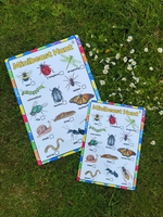 
              NEW!! Outdoor - Minibeast Hunt- Activity Board
            