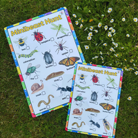 NEW!! Outdoor - Minibeast Hunt- Activity Board